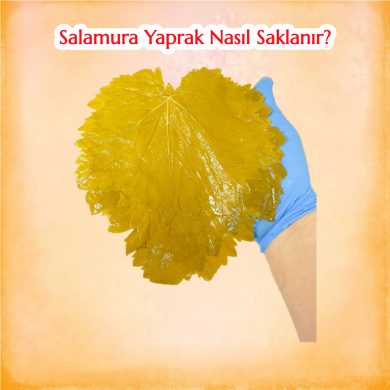 salamurayapraknasılsaklanır